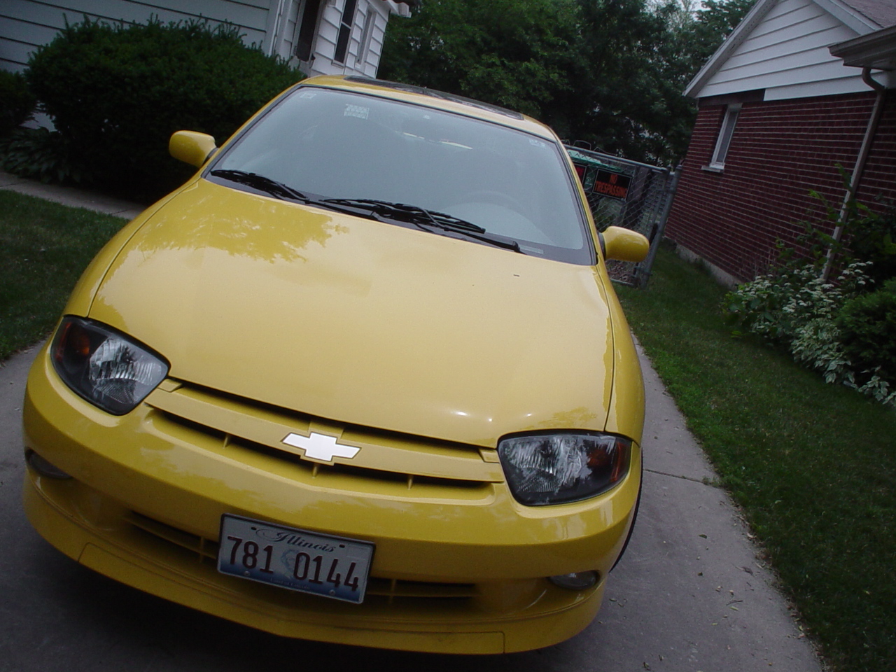 Sharons new cavalair